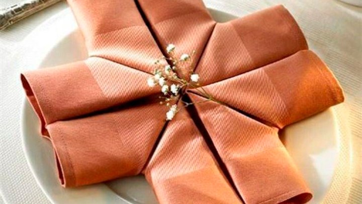 Складывание салфеток (1)